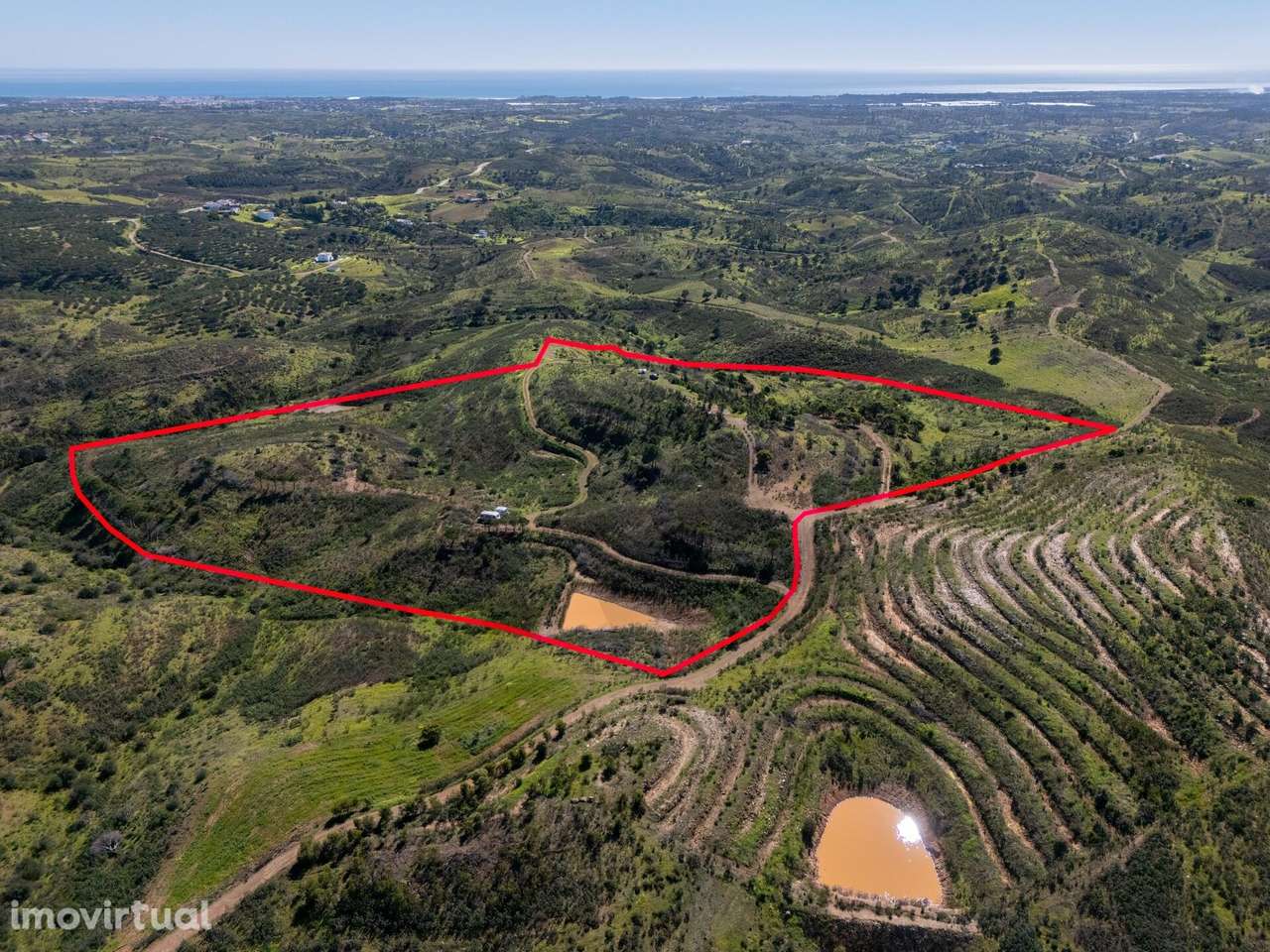 terreno com ruína e viabilidade de Construção - Grande imagem: 5/16