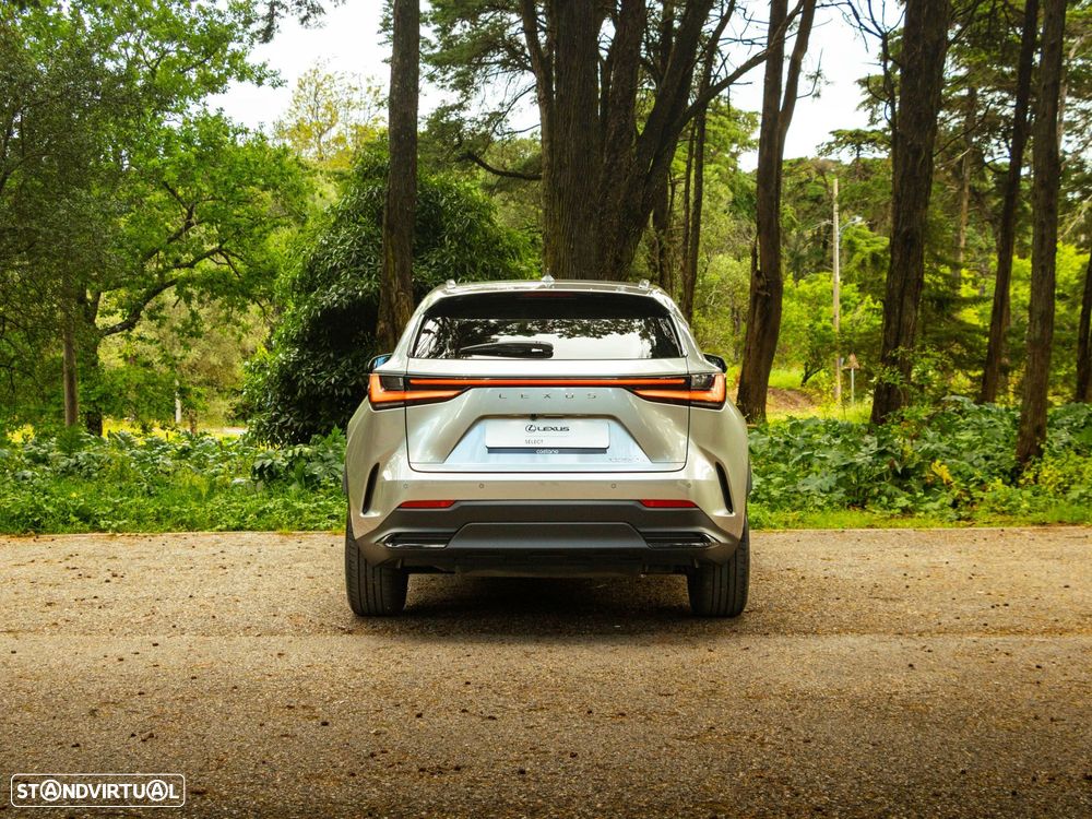 Lexus NX 350h Executive+ - 5