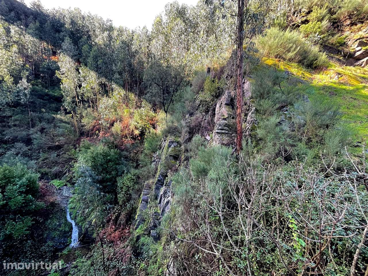Terreno Rústico  Venda em Raiva, Pedorido e Paraíso,Castelo de Paiva - Grande imagem: 3/10