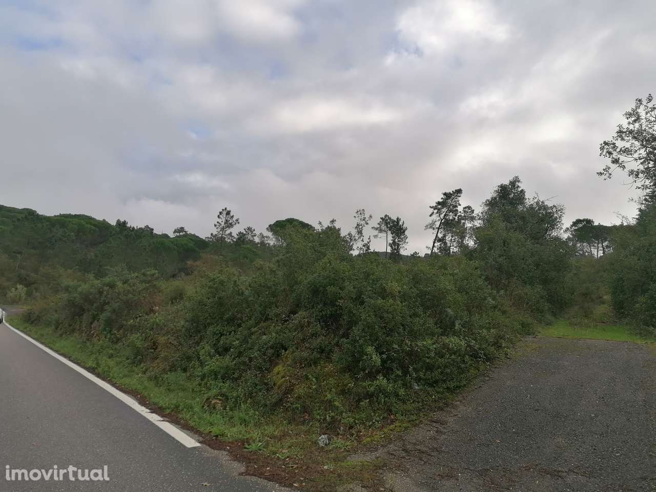 Terreno Rústico em Cernache - Grande imagem: 4/4