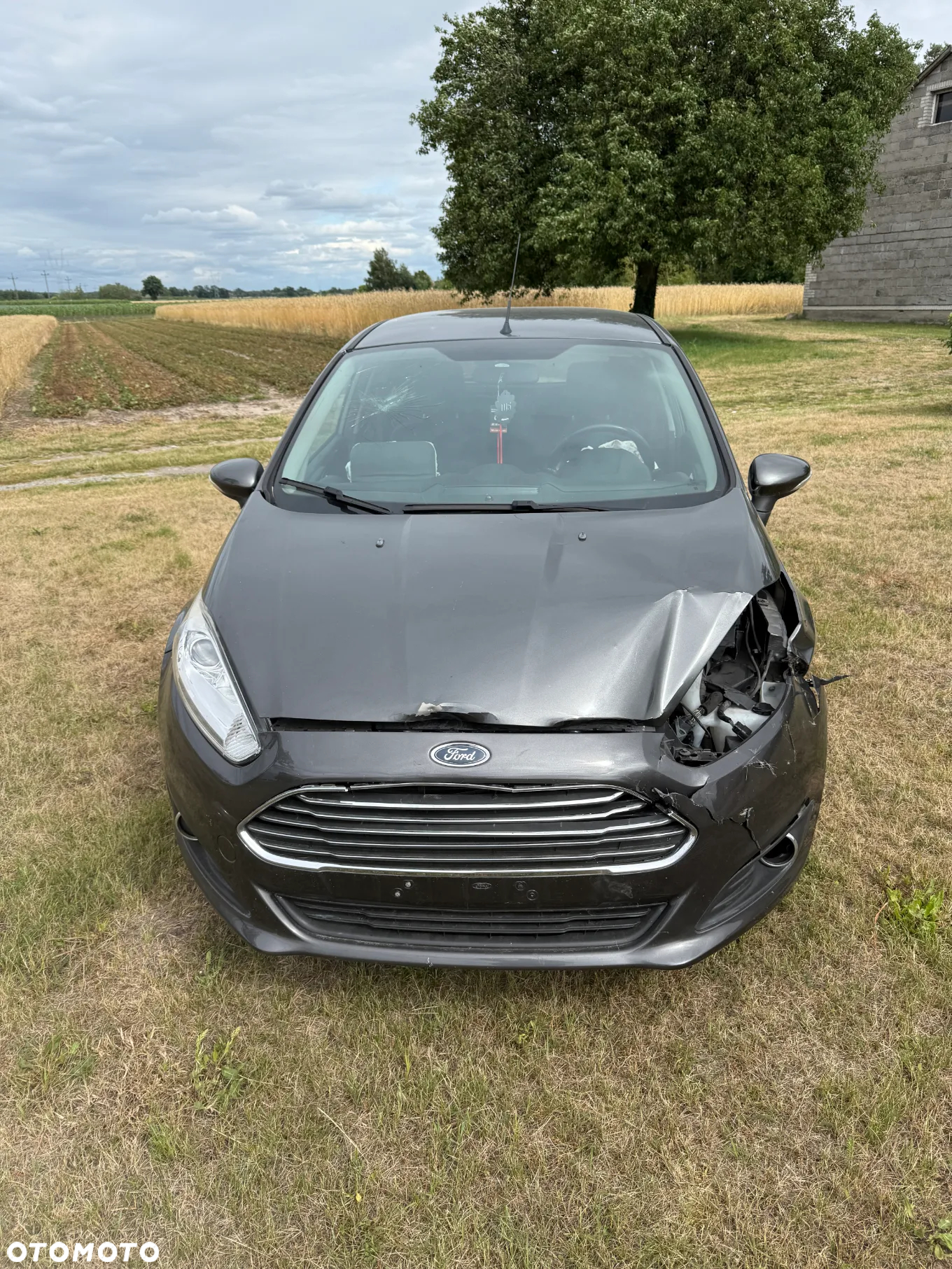 Ford Fiesta 1.0 EcoBoost Titanium MPS6 - 5