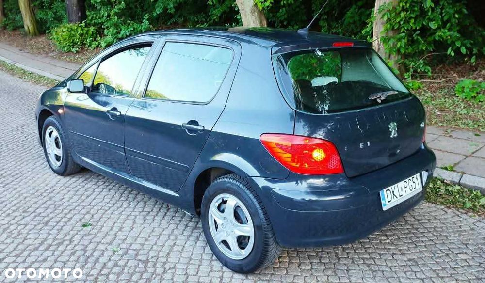 Peugeot 307 - 5