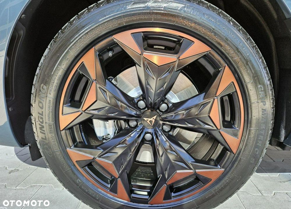 Cupra Terramar 2.0 TSI 4Drive DSG - 10