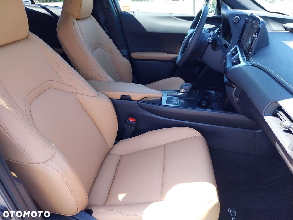 Lexus UX 300h F Sport Design - 11