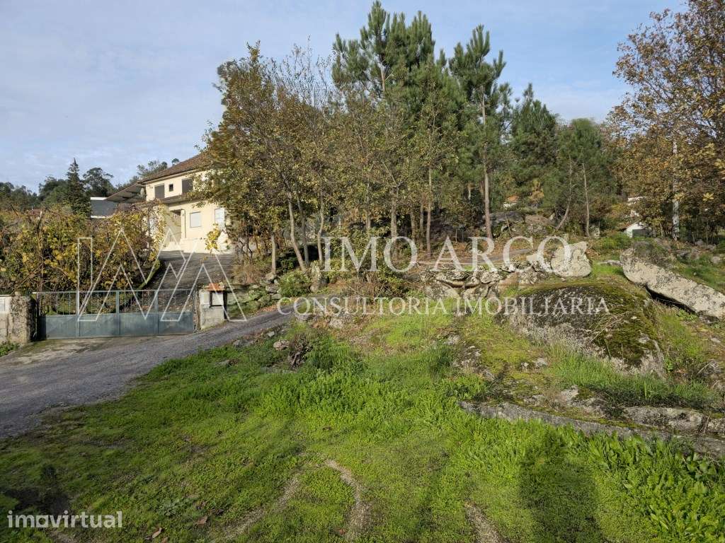 Terreno, Olival de Meanhos - Grande imagem: 5/24