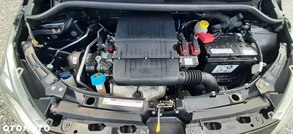 Ford KA 1.2 Start-Stopp-System Champions Edition - 40