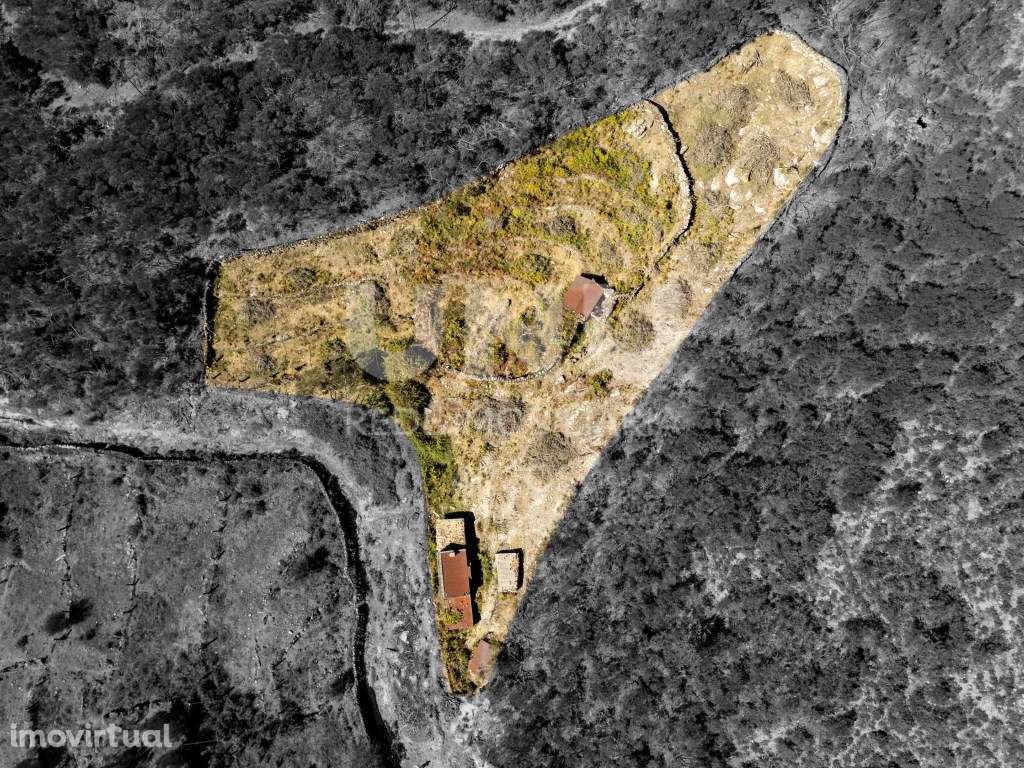 Terreno Rústico - Grande imagem: 2/21