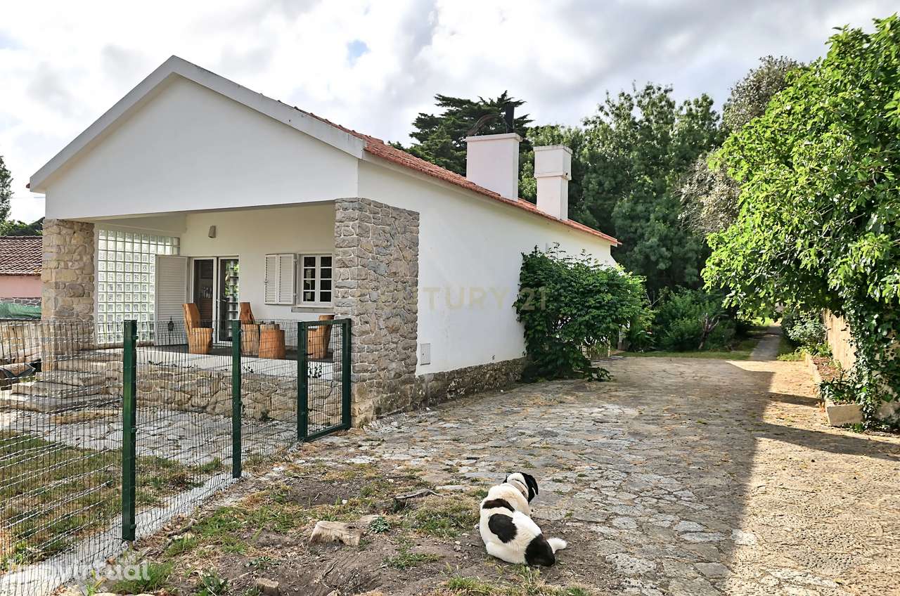 Quinta com 3200 m², LINHÓ - SINTRA - Grande imagem: 2/30