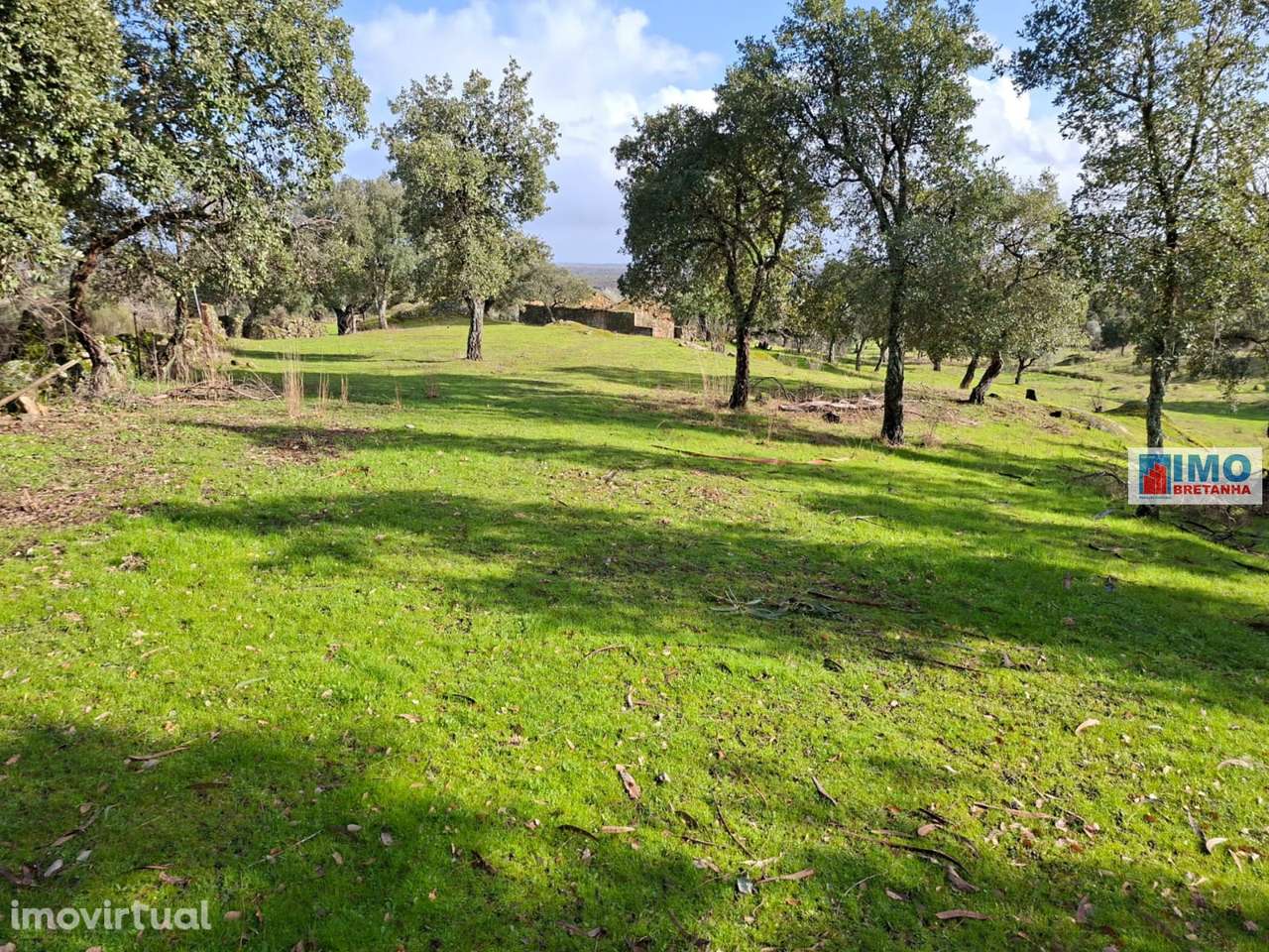 Quinta c/ Ruína em São Miguel D´Acha - 20 min Castelo Branco - Grande imagem: 5/22