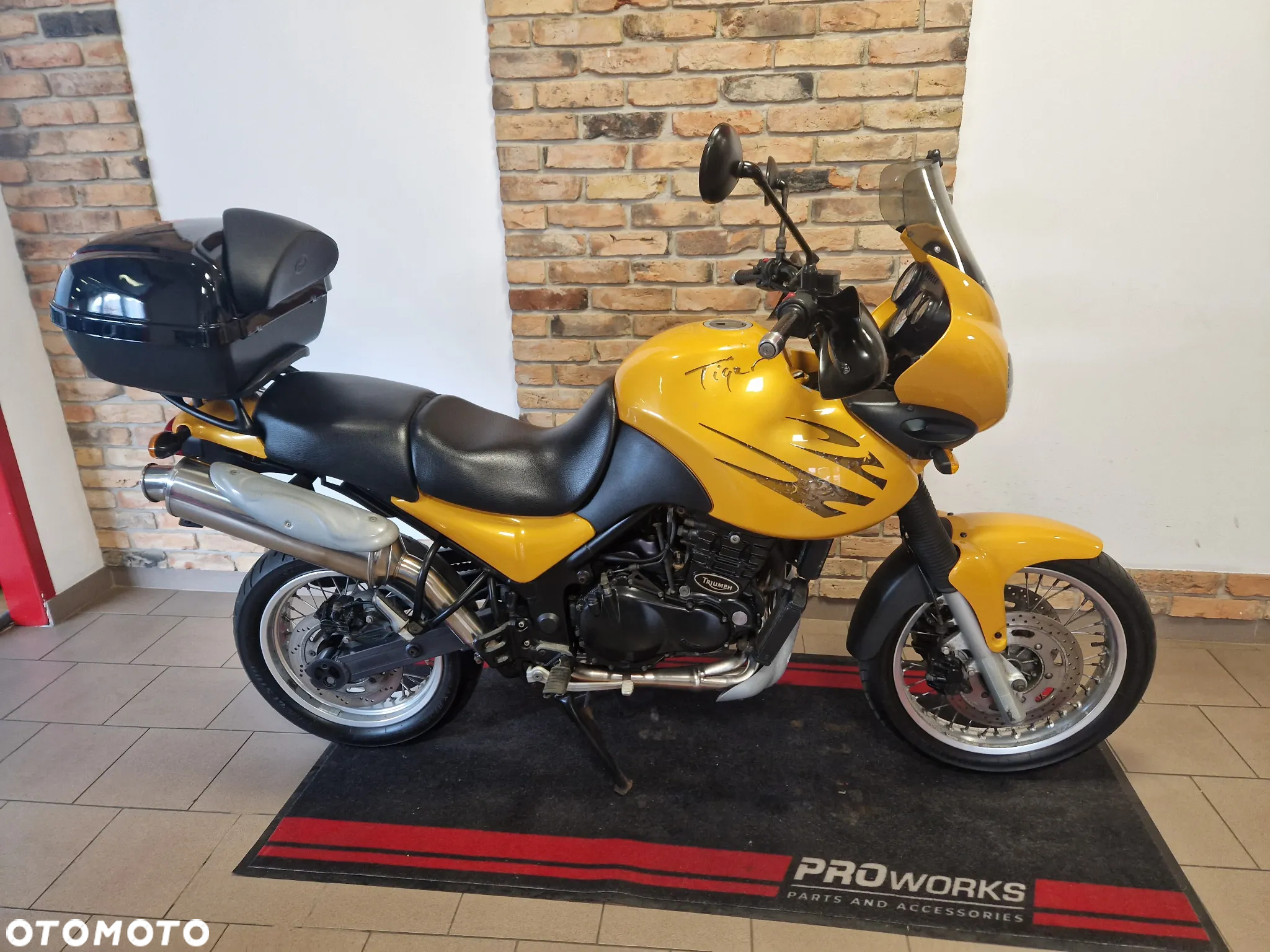 Triumph Tiger