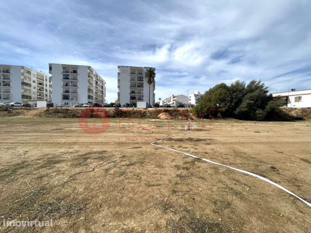 Lote para Moradia no Centro de Lagoa - Construa a Casa dos Seus Sonhos - Grande imagem: 3/17