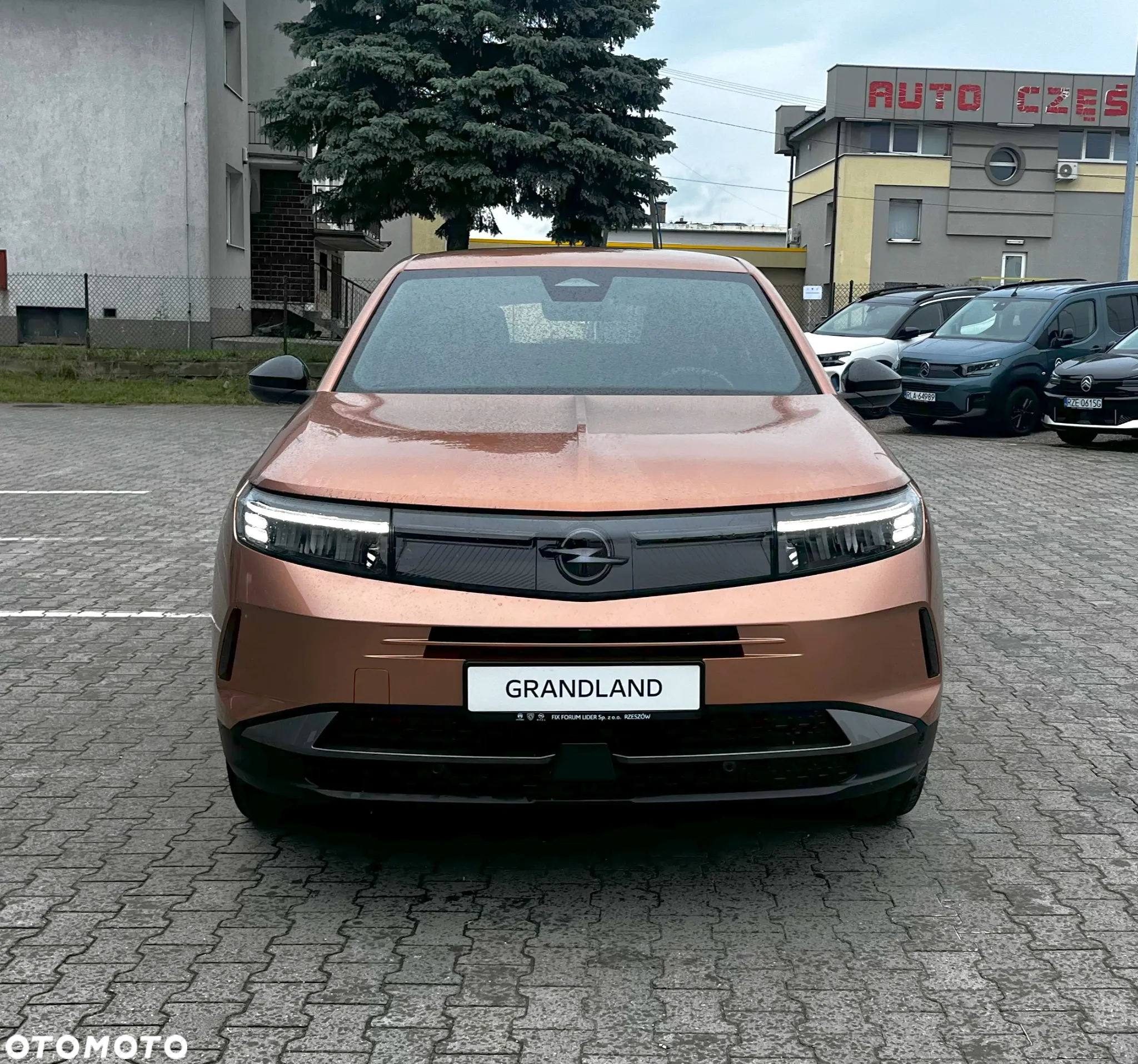Opel Grandland 1.2 mHEV Edition eDTC6 - 2