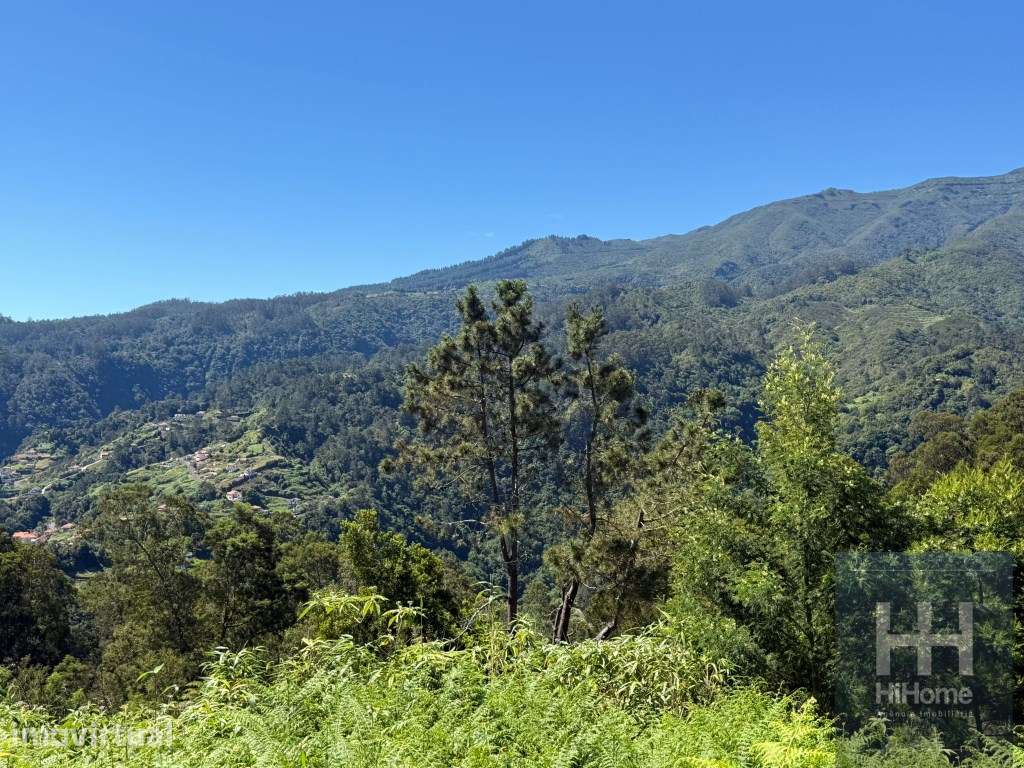 Terreno com 2.100 m² para construção em São Jorge - Grande imagem: 2/9