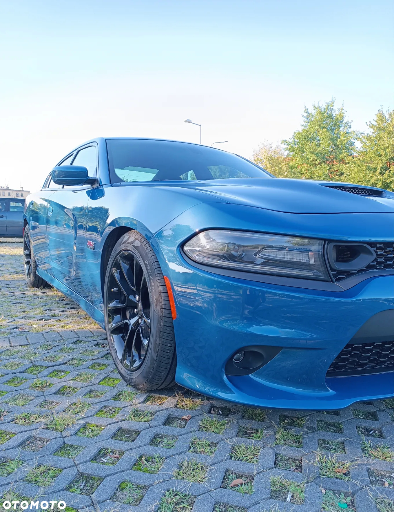 Dodge Charger 6.4 Scat Pack - 5