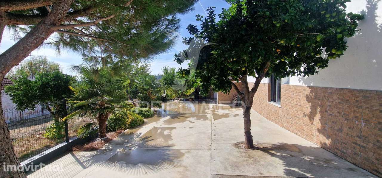 Excelente T2 recuperado com terreno e árvores de fruto - Grande imagem: 2/22