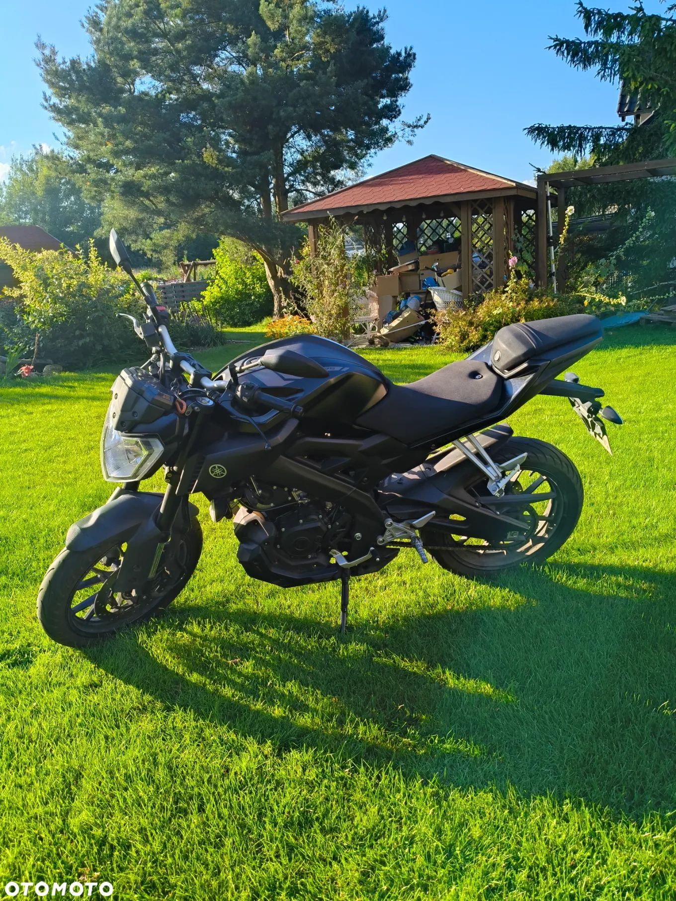 Yamaha MT - 1