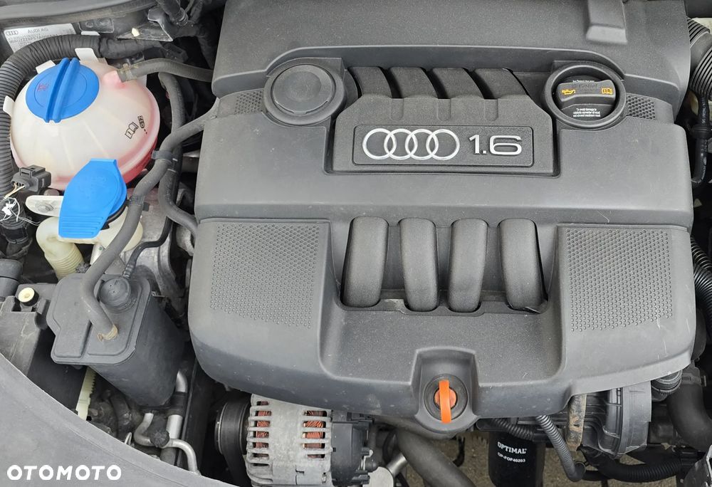 Audi A3 Sportback 1.6 Attraction - 19