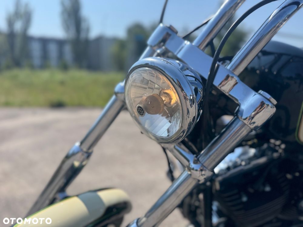 Harley-Davidson Softail - 13