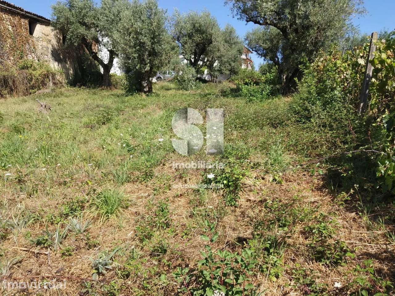 Terreno em Vila Nova de Poiares - Grande imagem: 5/5