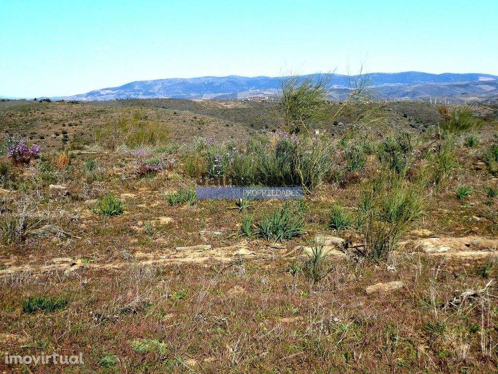 15ha terra agrícola p/ vinha, olival, amendoal. Portugal, V. N. Foz... - Grande imagem: 5/9