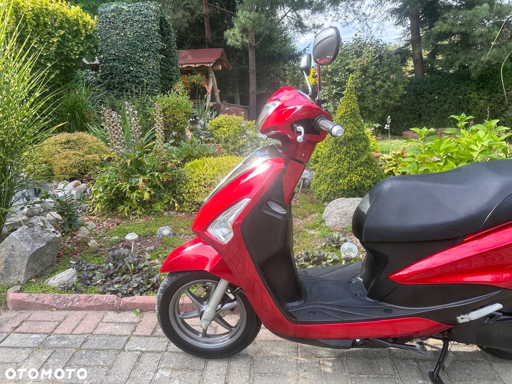 Yamaha D'elight - 14