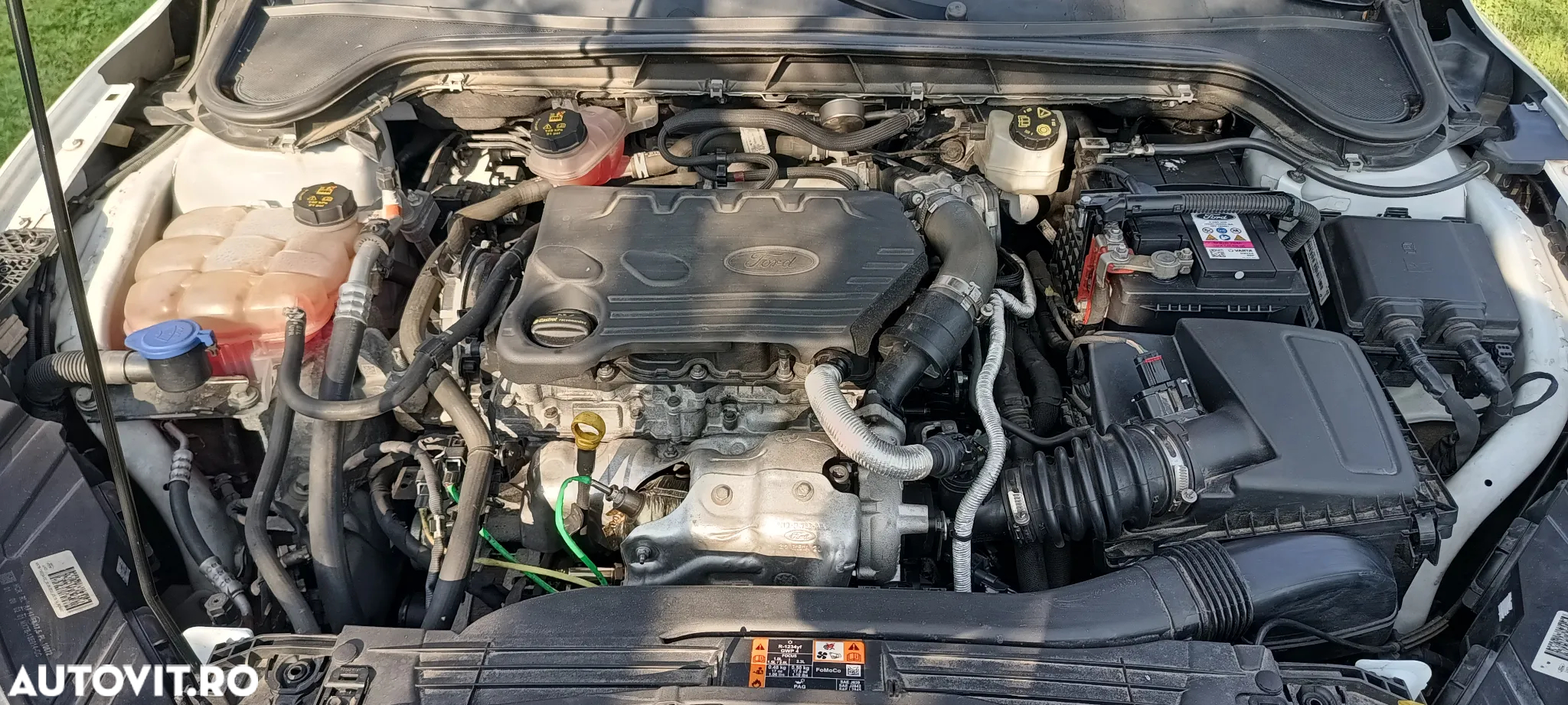 Ford Focus 1.5 EcoBlue Titanium Business - 18