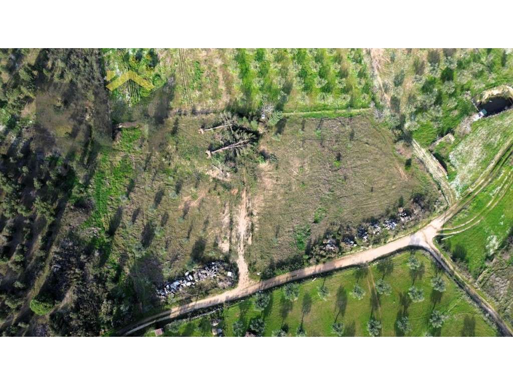Terreno rústico com 5.750m² em Castelo Branco - Grande imagem: 3/20