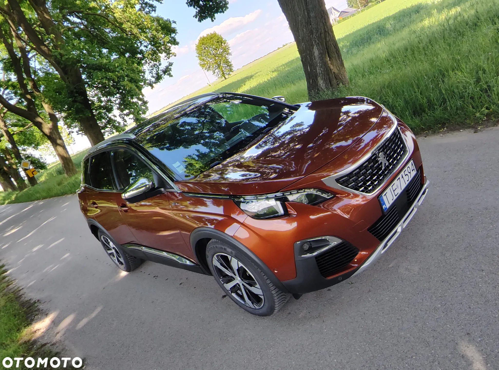 Peugeot 3008 2.0 BlueHDi GT S&S EAT8 - 6