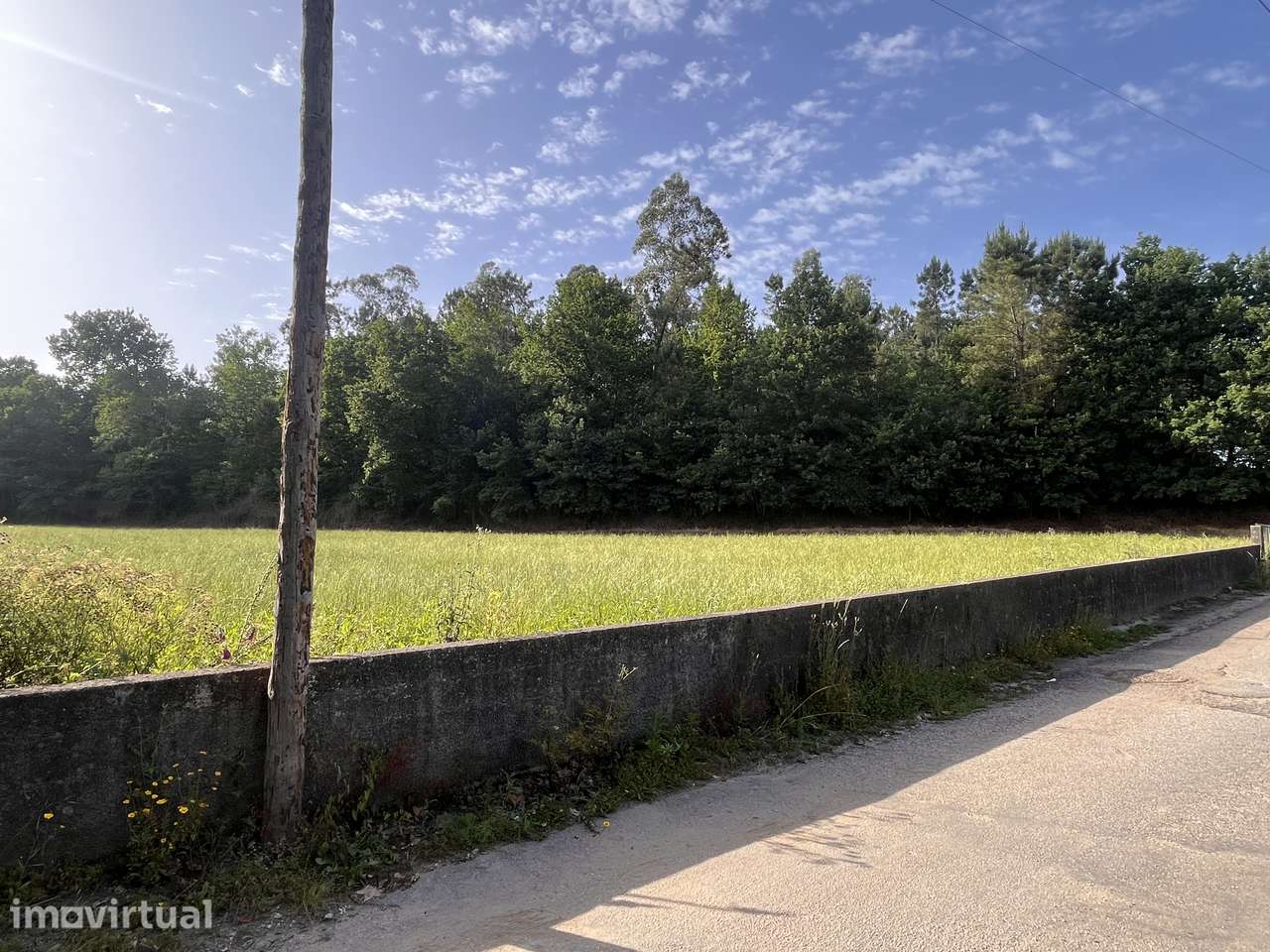 Terreno 29.000 m² – Urbanizável. Junto à Zona Industrial de Gême - Grande imagem: 5/9