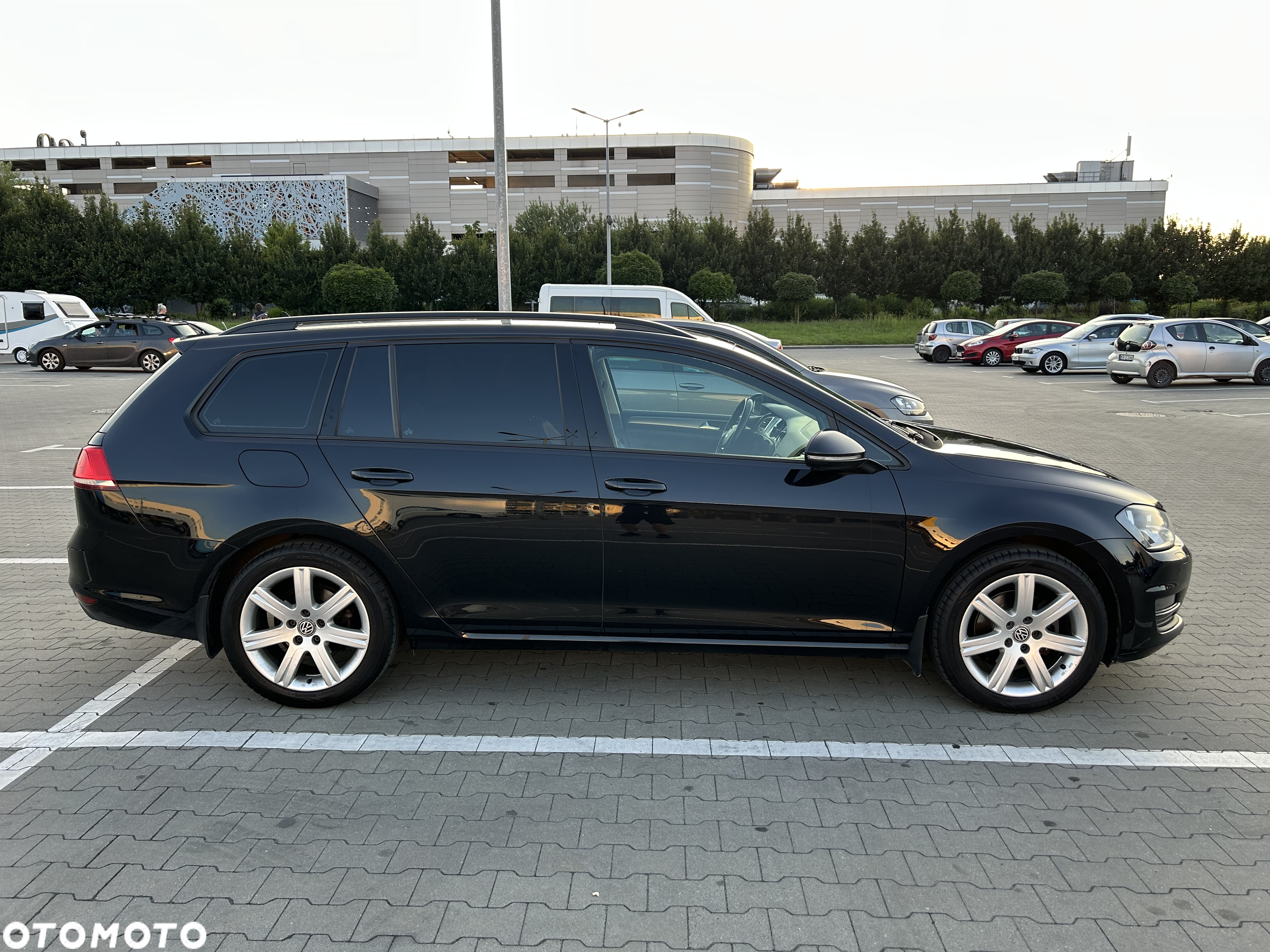 Volkswagen Golf - 8