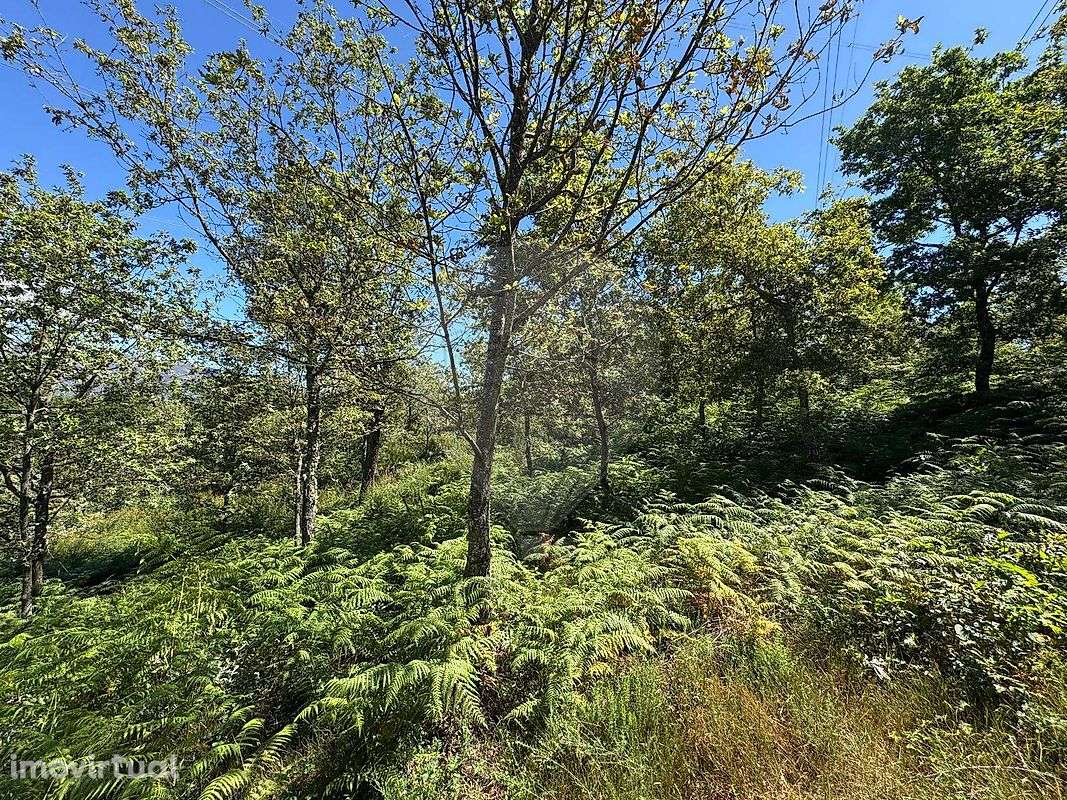 Terreno  para venda - Grande imagem: 2/4