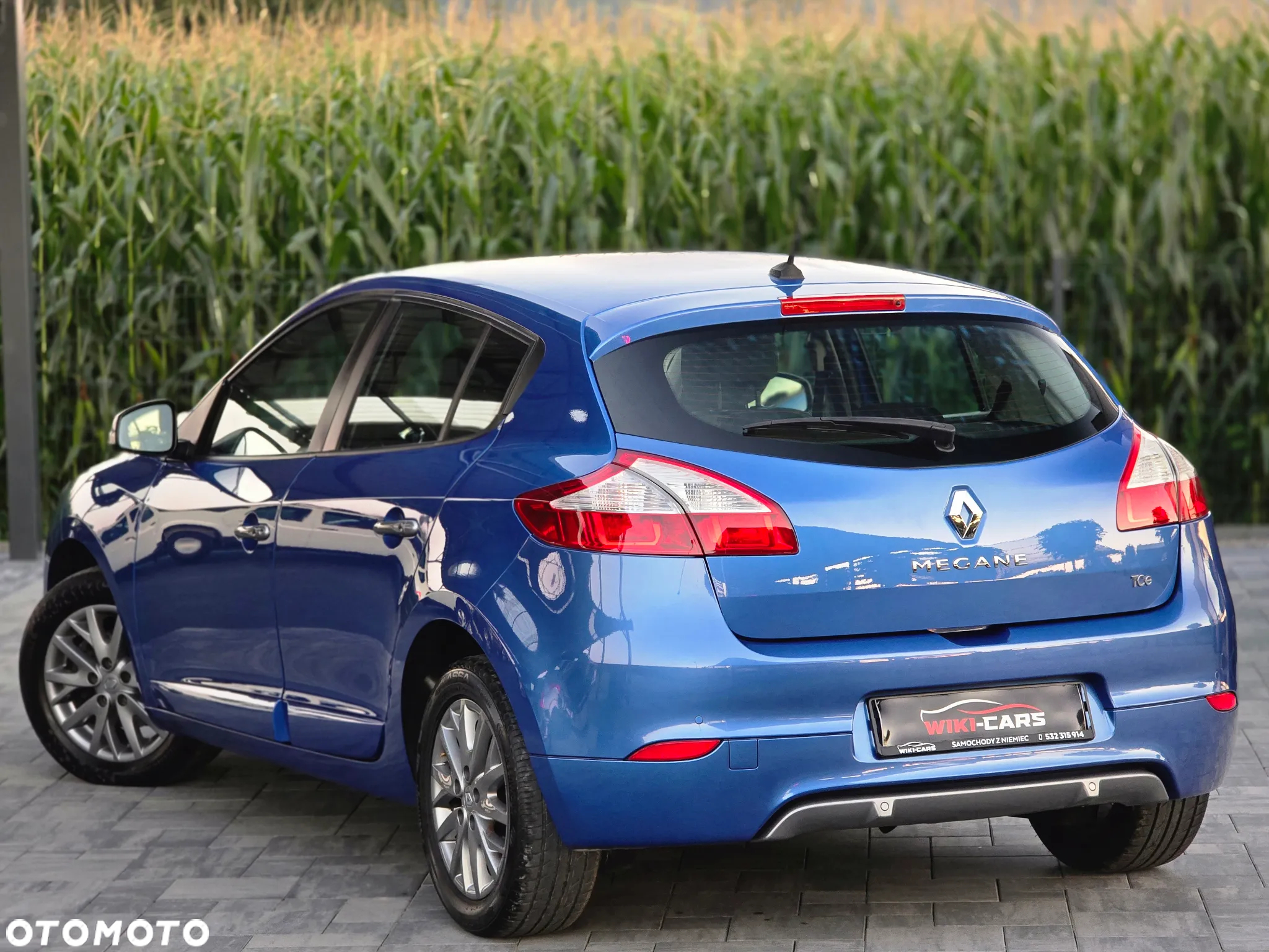 Renault Megane 1.2 16V TCe Energy Limited - 13
