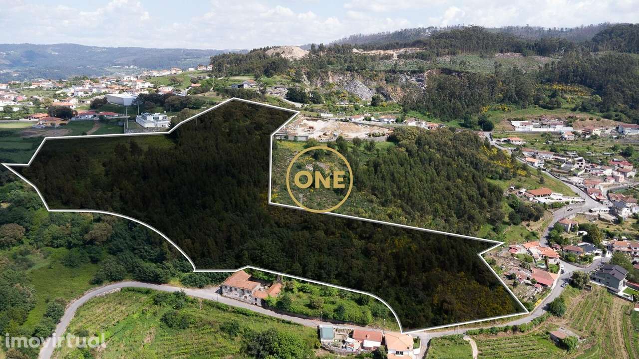 Terreno Rústico com 49.430,21 m2 em S.Tomé Negrelos - Grande imagem: 2/4