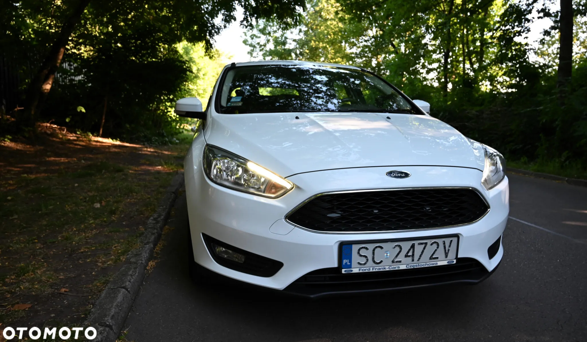 Ford Focus - 7