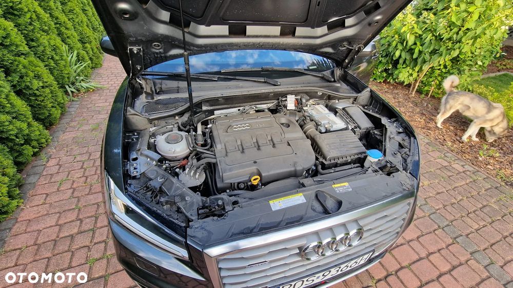 Audi Q2 2.0 TDI Quattro S tronic design - 19