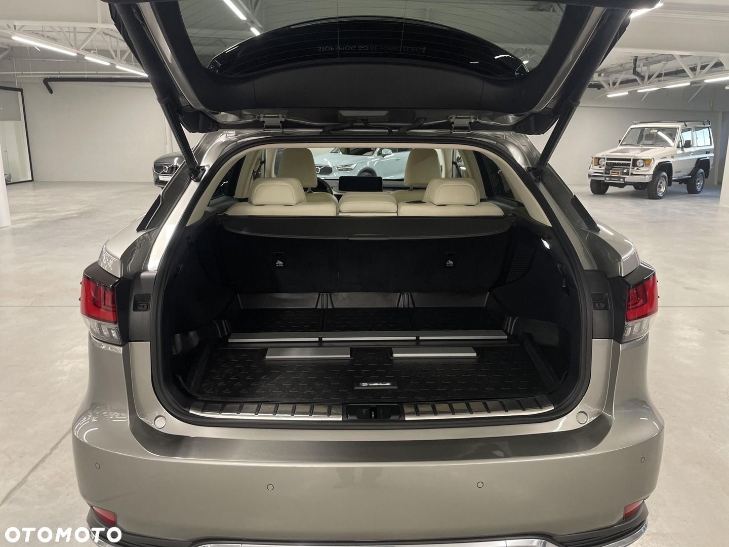 Lexus RX - 29