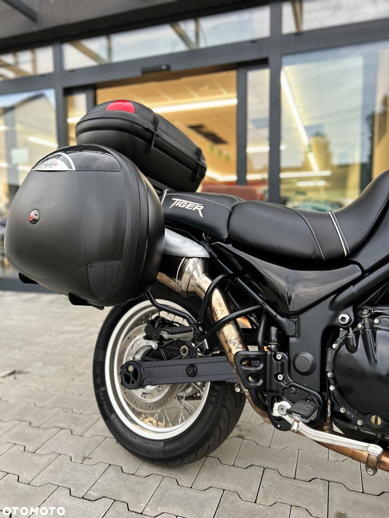 Triumph Tiger - 6