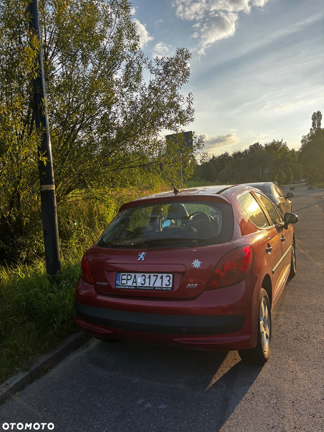 Peugeot 207 - 4