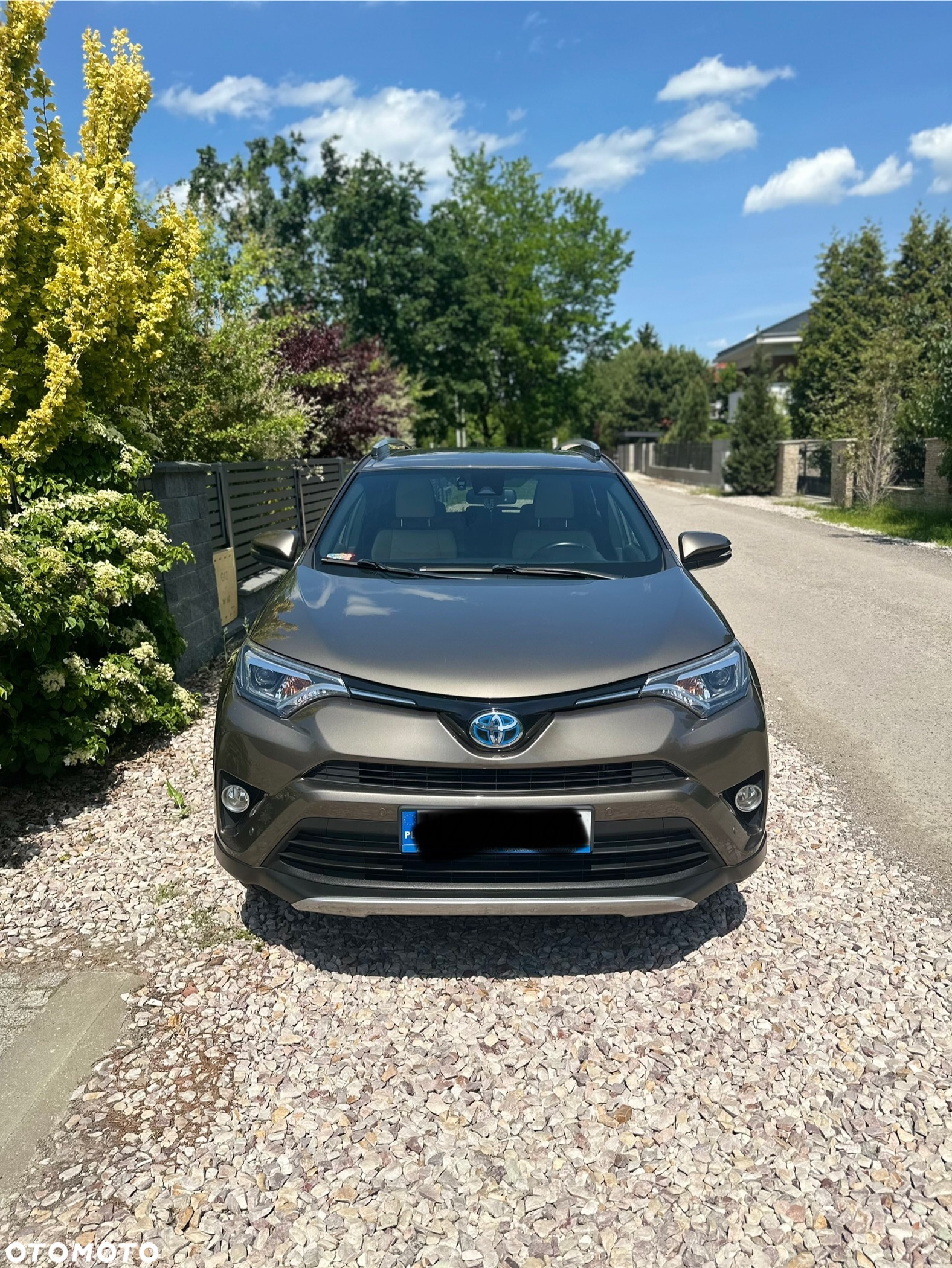 Toyota RAV4 Hybrid Premium 4x4 - 3