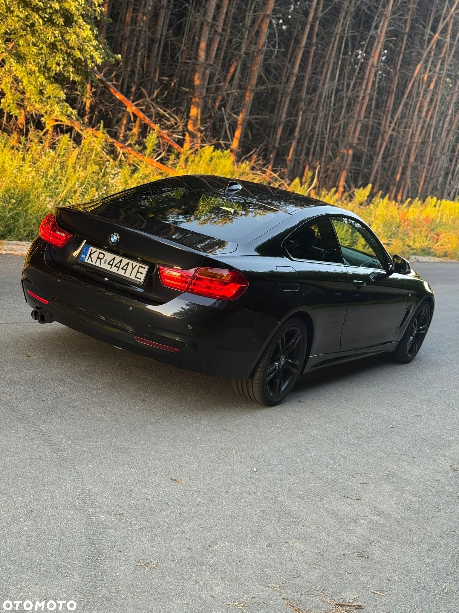 BMW Seria 4 - 3