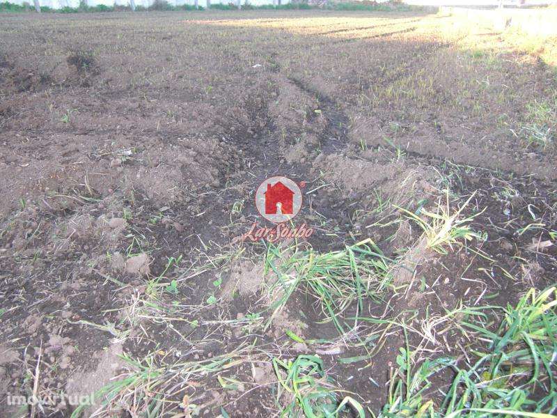 Terreno para construção de moradias com 1.000 m2 em Ferreiró, Vila ... - Grande imagem: 4/4