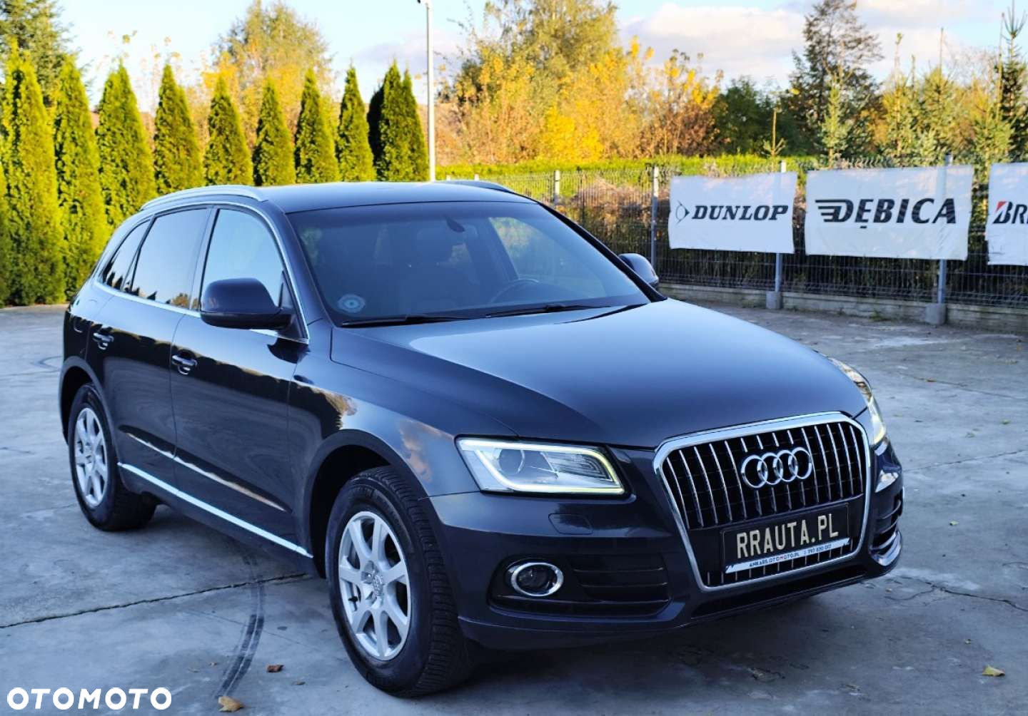Audi Q5 - 15