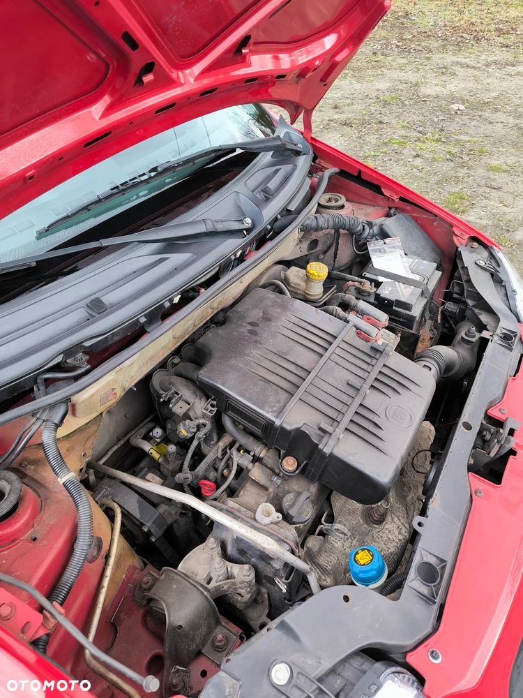 Fiat Panda 1.2 Fresh Eco - 17