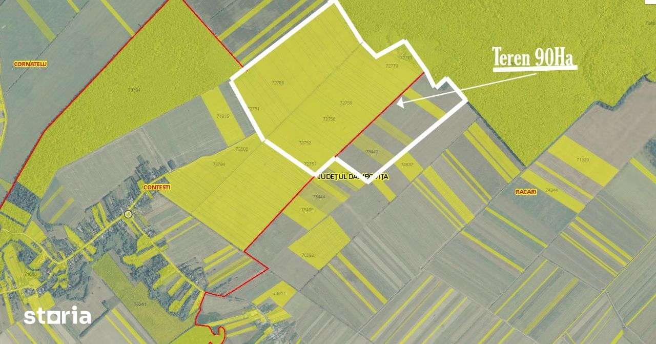 Inchiriere/vanzare 1800-25.000 euro/ha,90ha Contesti direct proprietar - Imagine principală: 2/5