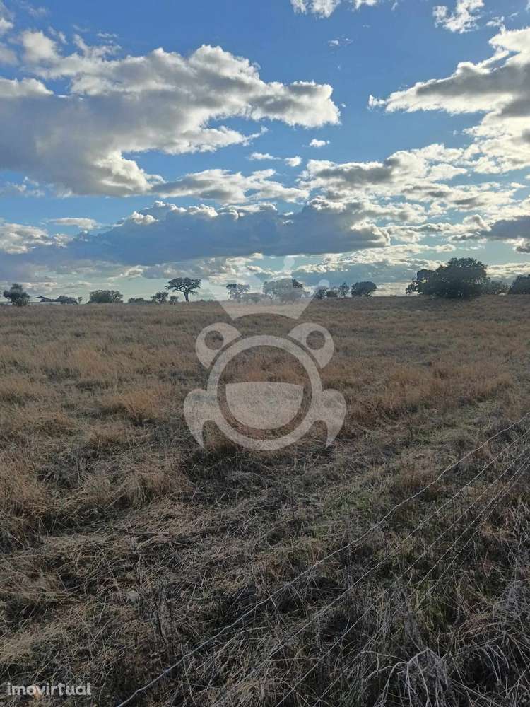 Terreno Rustico com possibilidade de construção - Grande imagem: 4/30