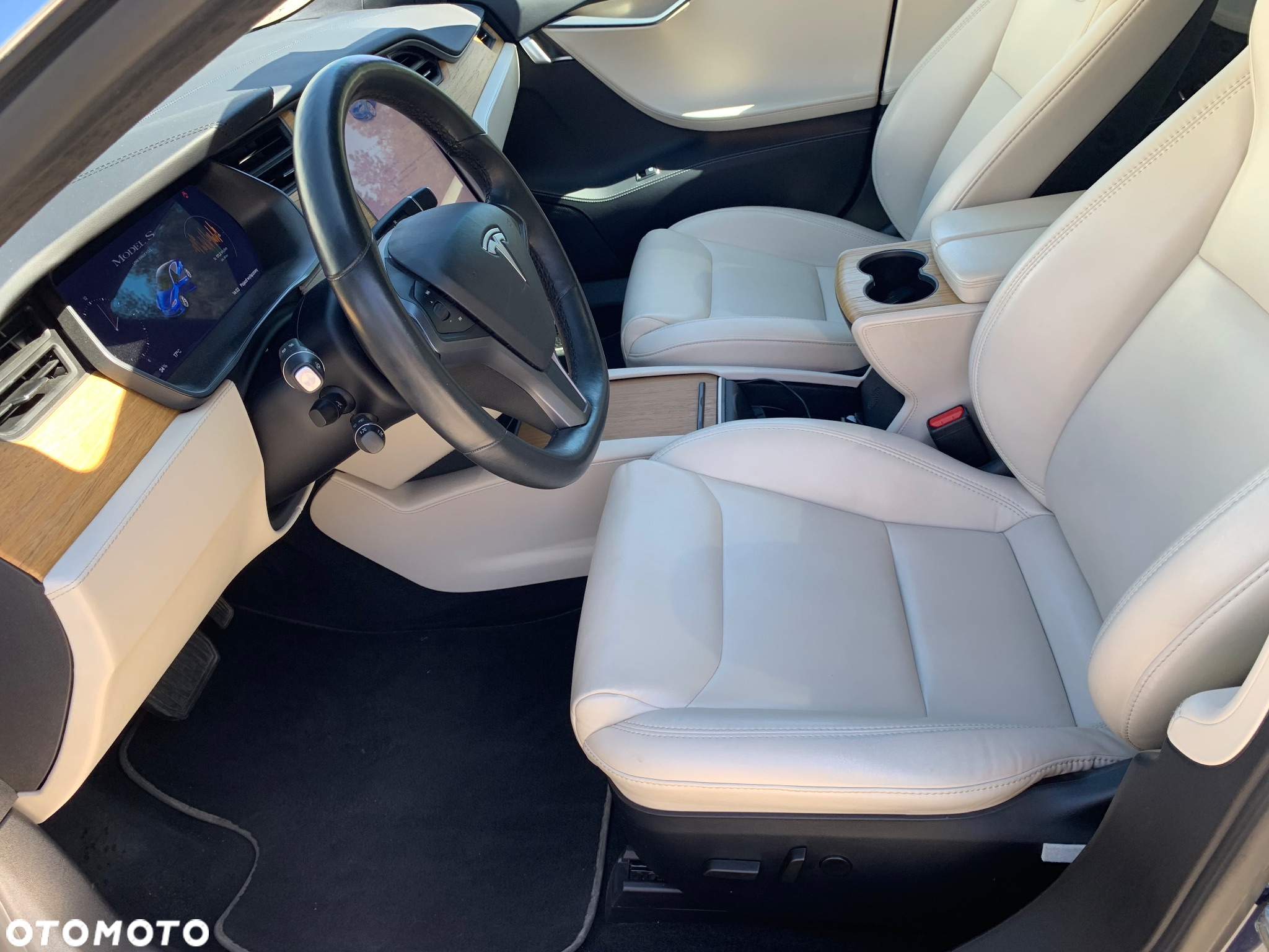 Tesla Model S 100 D Performance - 18