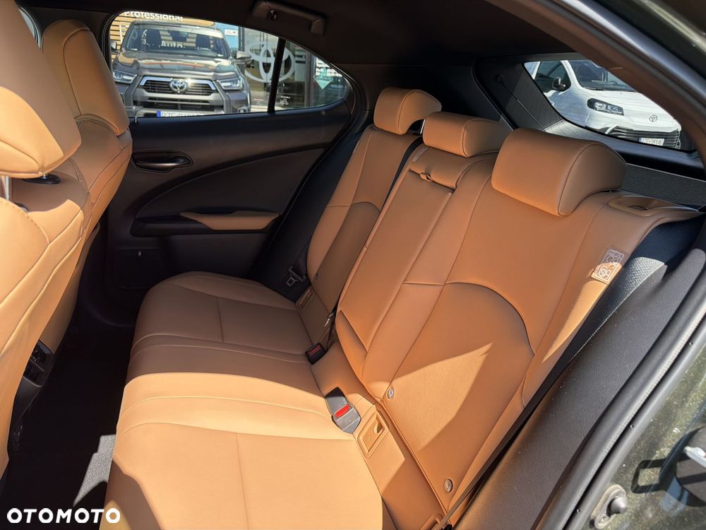 Lexus UX 250h GPF F Sport Design 2WD - 14