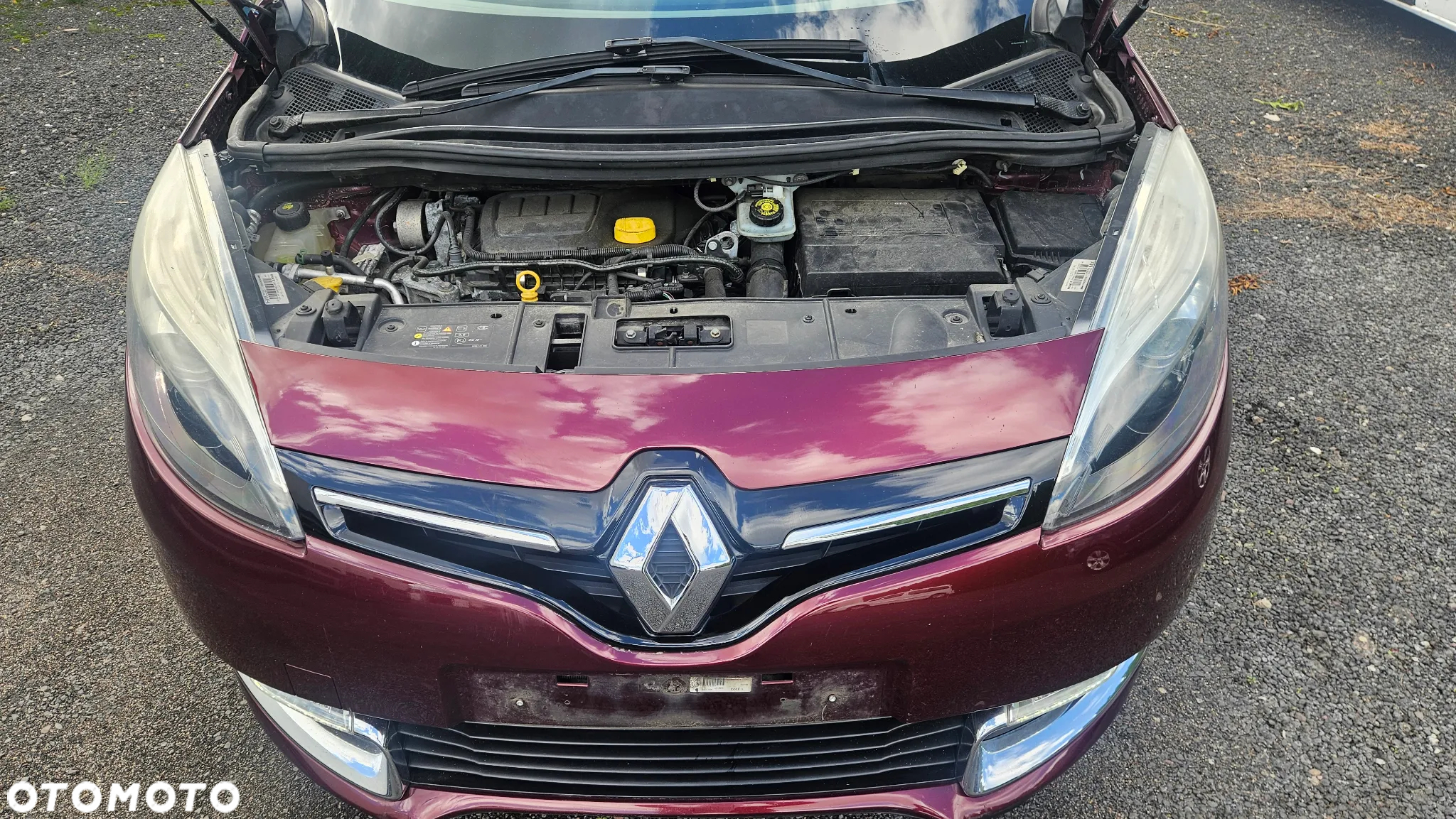 Renault Scenic 1.6 dCi Energy Dynamique - 5