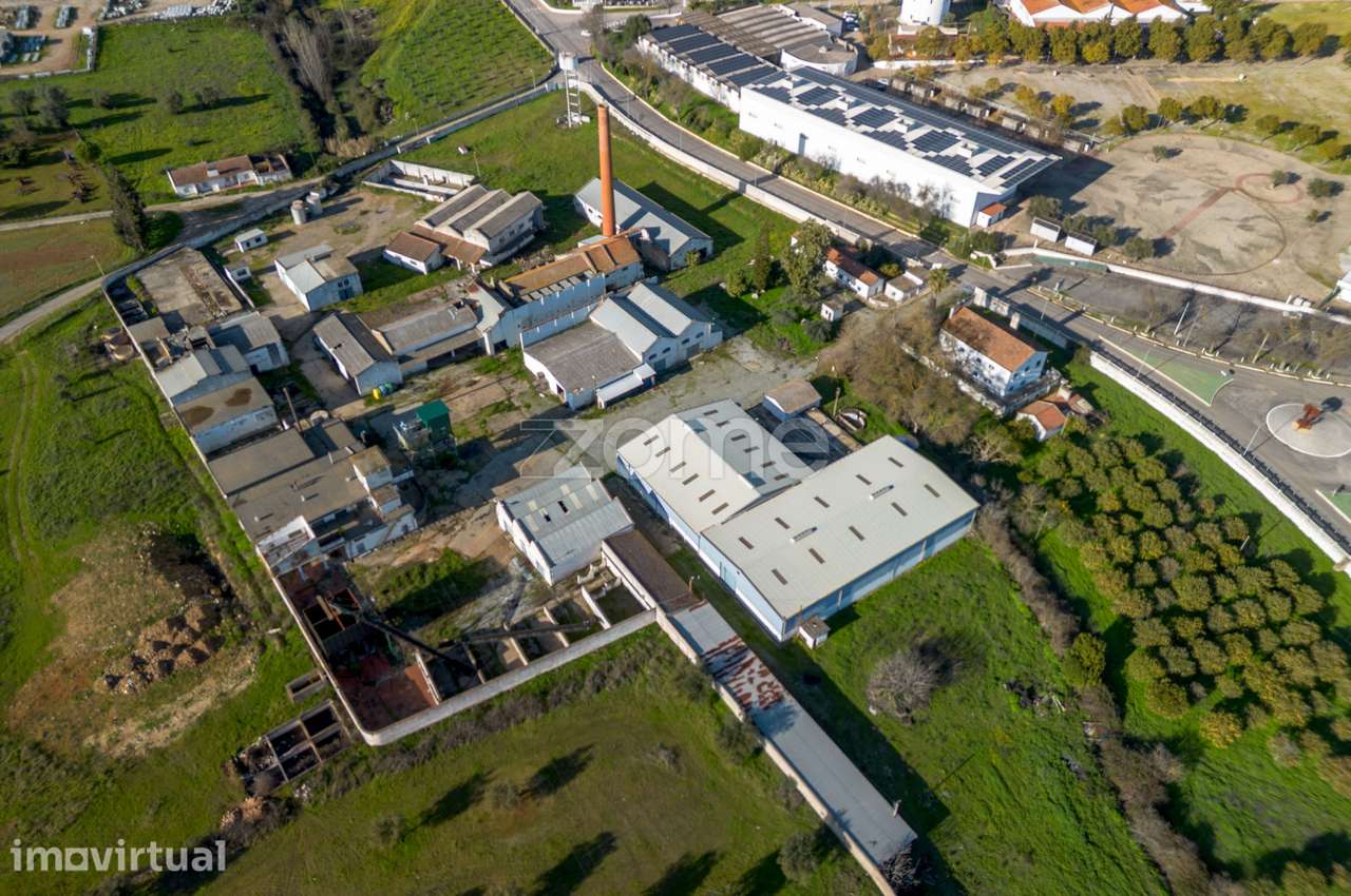 Armazens de atividade Industrial - Lagar de Azeite - Moura - Grande imagem: 5/59