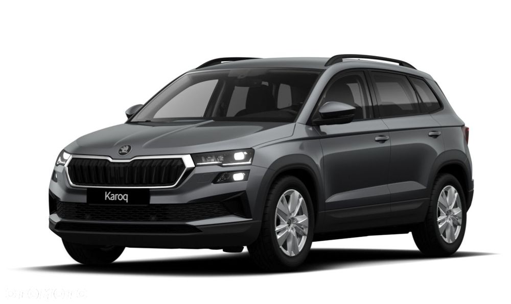 Skoda Karoq 2025 photo 4